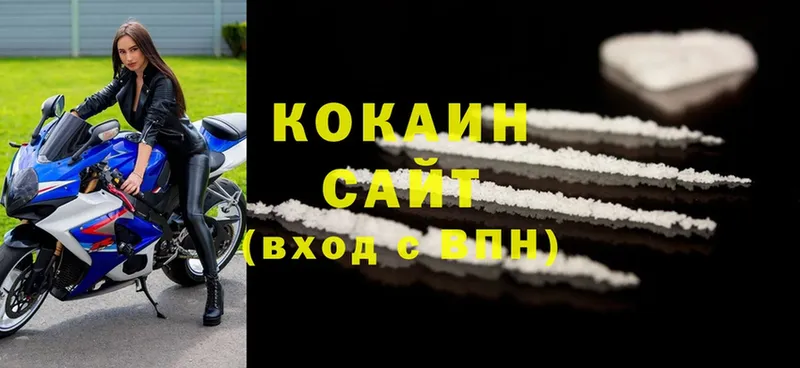 Cocaine FishScale  как найти закладки  Знаменск 